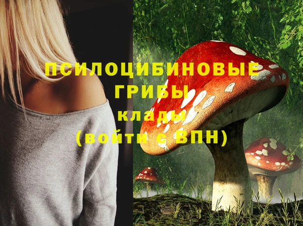 ALPHA-PVP Алексеевка
