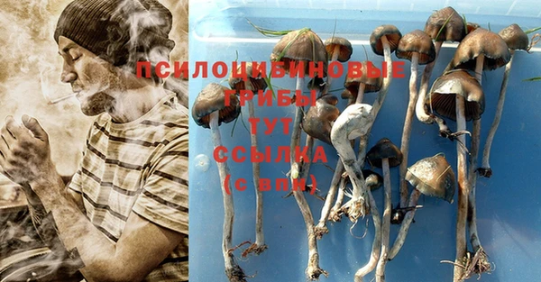 дурь Армянск