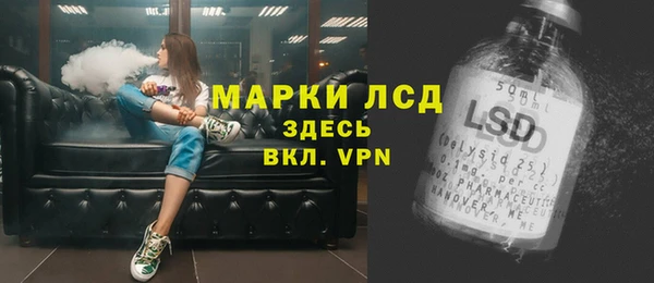 сатива Алзамай