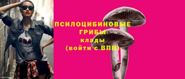 сатива Алзамай