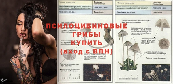 Альфа ПВП Алексин