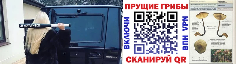 Псилоцибиновые грибы ЛСД  Междуреченск 